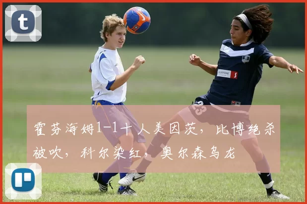 霍芬海姆1-1十人美因茨，比博绝杀被吹，科尔染红，奥尔森乌龙