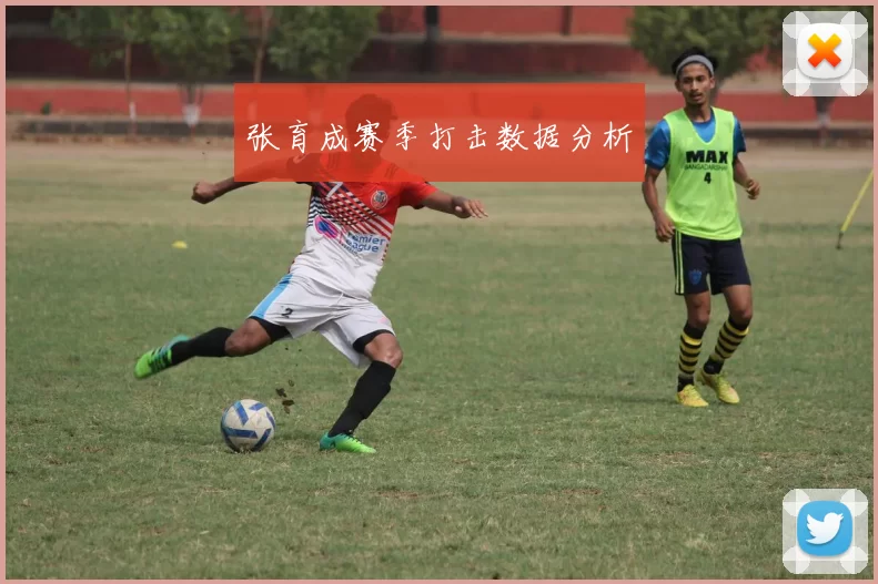 张育成赛季打击数据分析