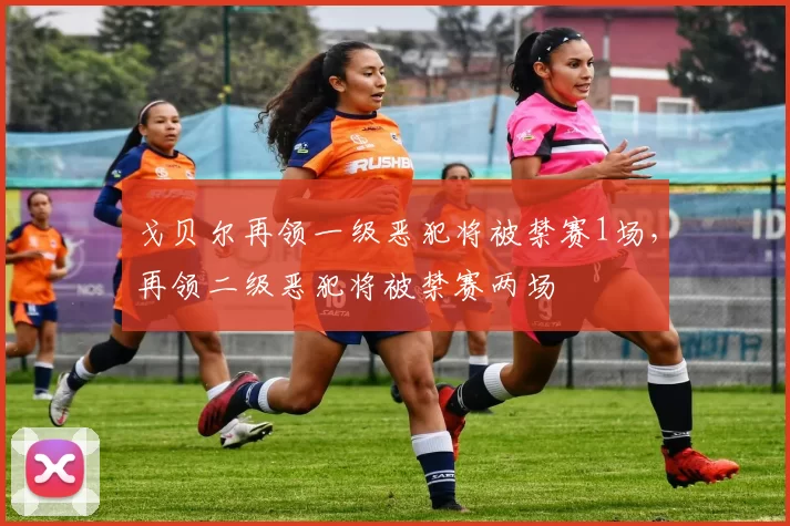 戈贝尔再领一级恶犯将被禁赛1场，再领二级恶犯将被禁赛两场
