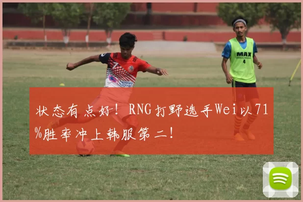 状态有点好！RNG打野选手Wei以71%胜率冲上韩服第二！