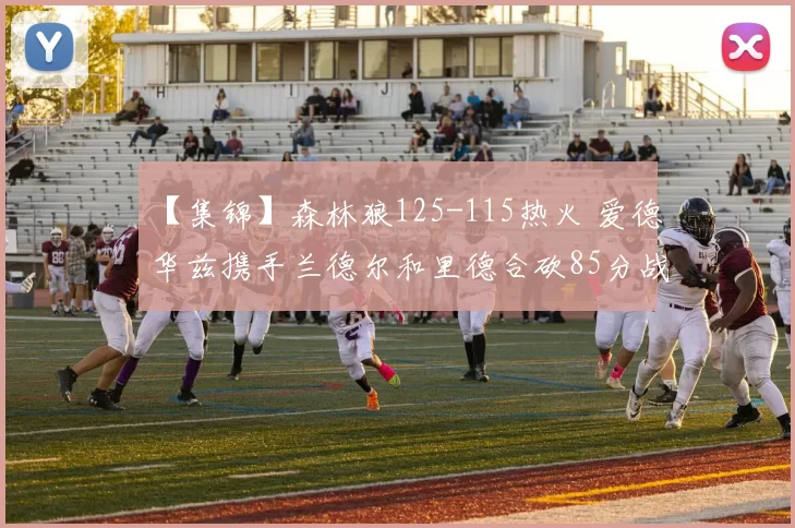 【集锦】森林狼125-115热火 爱德华兹携手兰德尔和里德合砍85分战胜热火