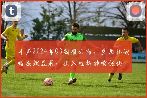 斗鱼2024年Q3财报公布，多元化战略成效显著，收入结构持续优化