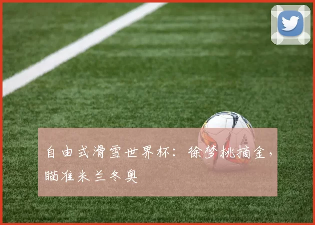 自由式滑雪世界杯：徐梦桃摘金，瞄准米兰冬奥