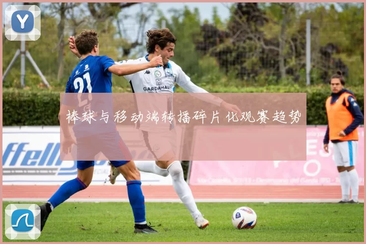 棒球与移动端转播碎片化观赛趋势