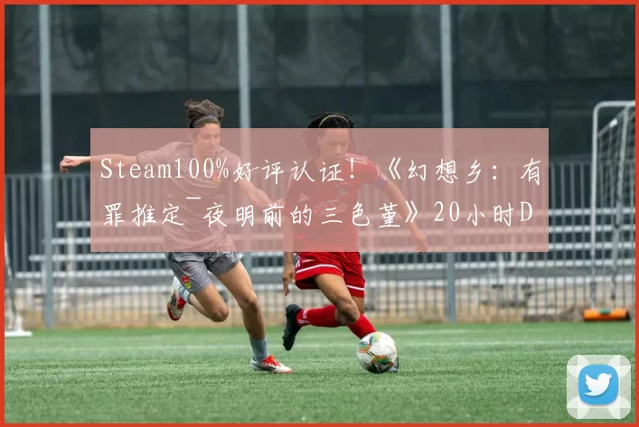 Steam100%好评认证！《幻想乡：有罪推定~夜明前的三色堇》20小时DEMO现已开放！