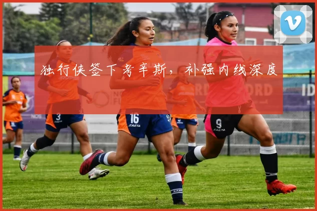 独行侠签下考辛斯，补强内线深度