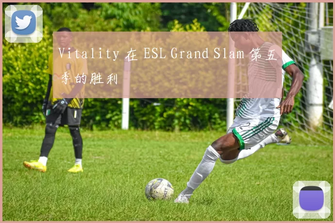 Vitality 在 ESL Grand Slam 第五季的胜利